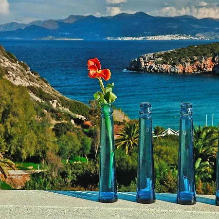 Collection With Terrace Villa